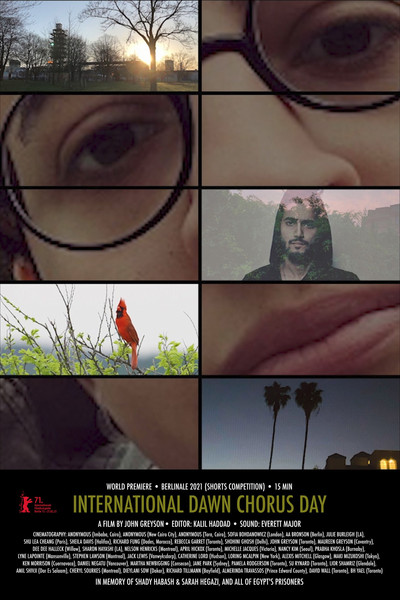 Poster do Filme International Dawn Chorus Day