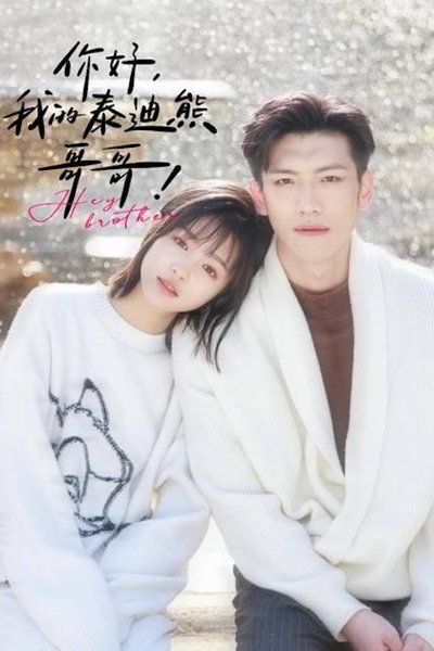 poster for 你好我的泰迪熊哥哥