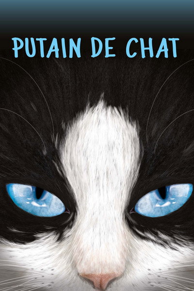 Putain de chat !