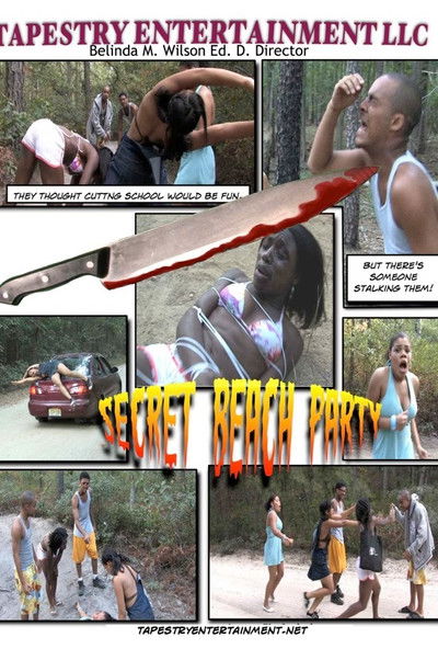 movie poster for Secret Beach Party