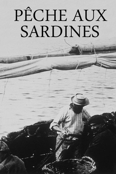 Sardine fishing poster Sardine fishing