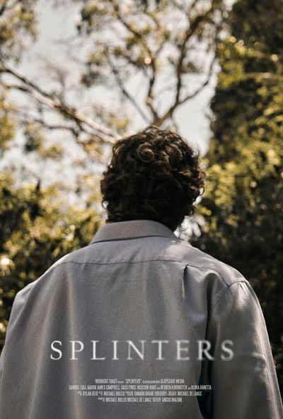 Poster do Filme Splinters