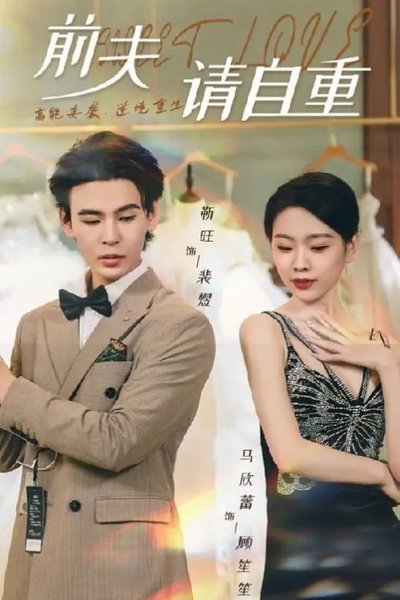 poster for 前夫请自重