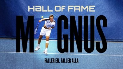 Magnus - If one falls, all fall