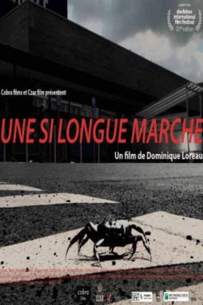 movie poster for Such a Long March