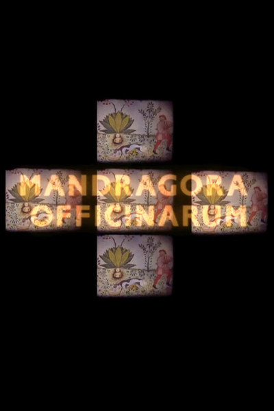 Poster do Filme Mandragora officinarum