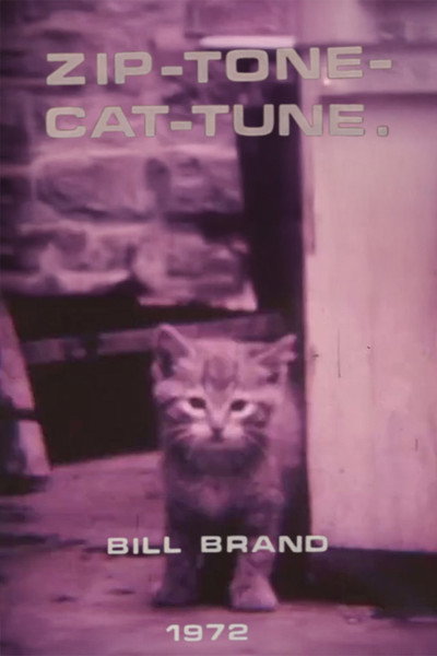 Poster do Filme Zip-Tone-Cat-Tune