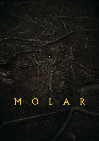 Poster do Filme Molar