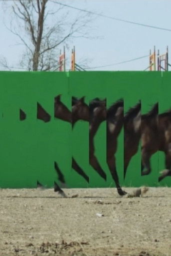 Poster do Filme Playgrounds In Motion