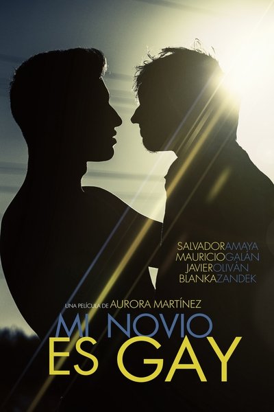 Poster for the movie My Boyfriend Is Gay