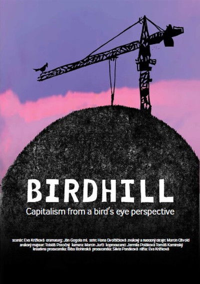 movie poster for Birdhill