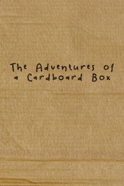 movie poster for The Adventures of a Cardboard Box