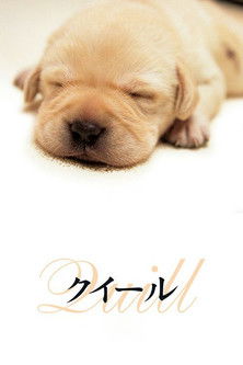 Poster do Filme クイール