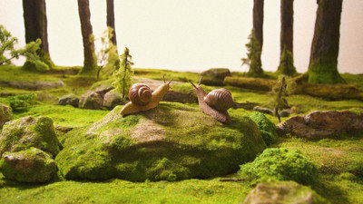 Görsel #4827