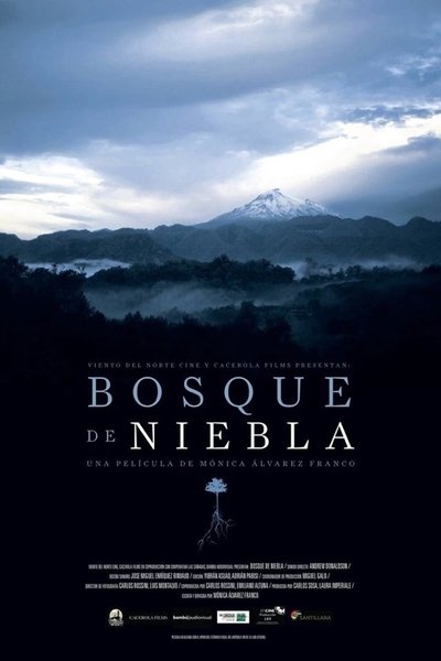Poster do Filme Bosque de niebla