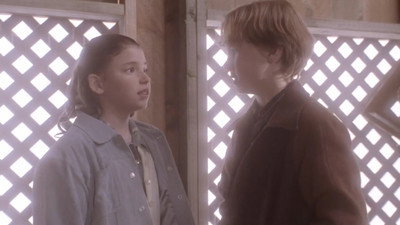 Through a Lens Darkly