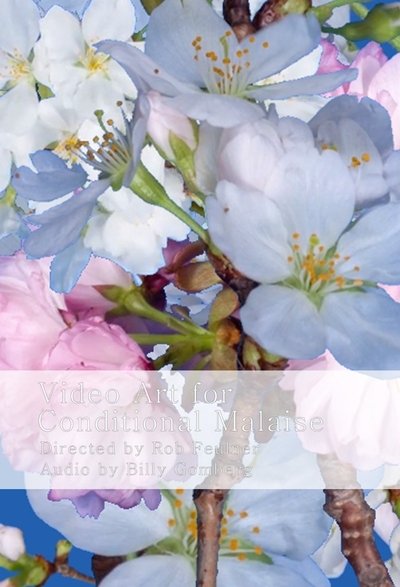 Poster do Filme Video Art for Conditional Malaise