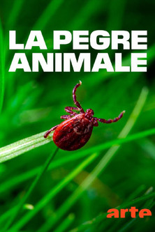 movie poster for La pègre animale: la vie secrète des parasites