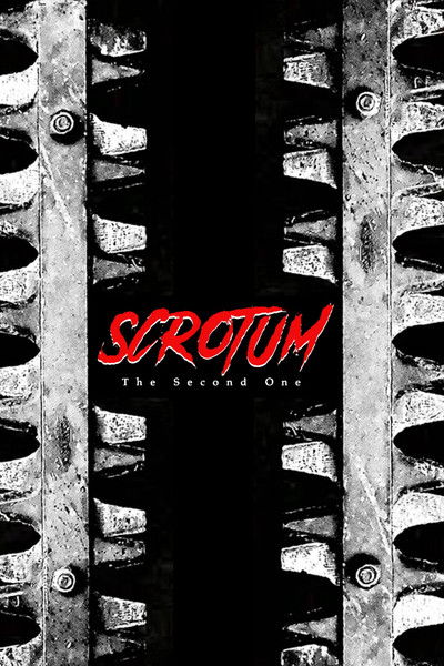 movie poster for Scrotum: The Second One