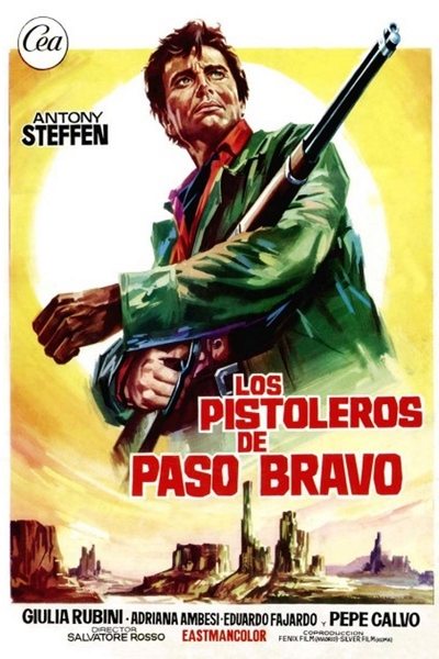 poster Los pistoleros de Paso Bravo