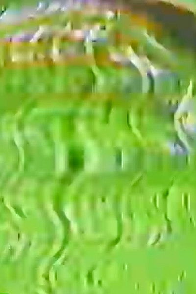 Poster do Filme Standing Waves