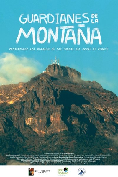 movie poster for Guardianes de la montaña