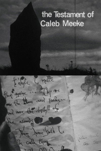 Poster do Filme The Testament of Caleb Meeke