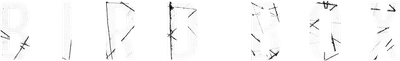 Bird Box Logo