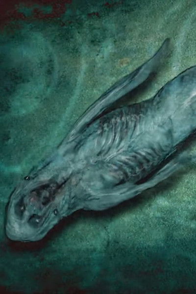 Poster do Filme Mermaids