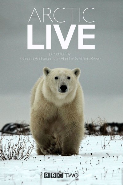 poster for Arctic Live