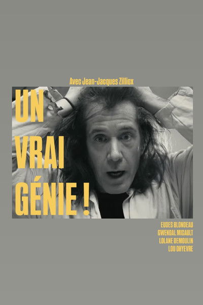 Poster do Filme Un vrai génie !