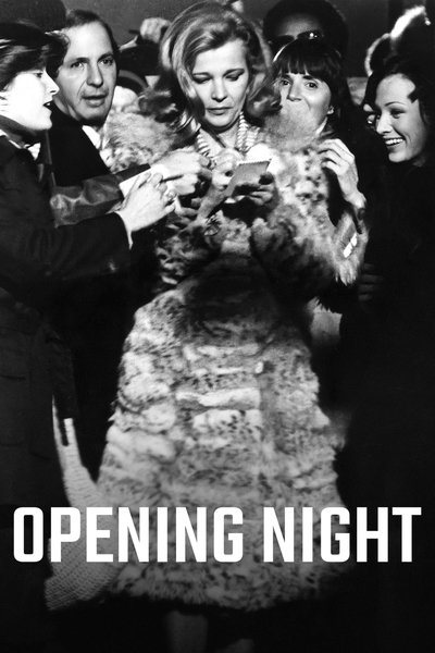 Poster for the movie Opening Night