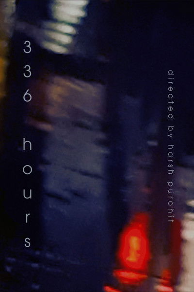 Poster do Filme 336 hours