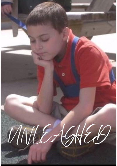 Poster do Filme Unleashed