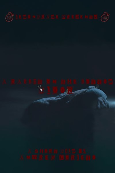 Poster do Filme A RABBIT ON THE BOTTOM FLOOR