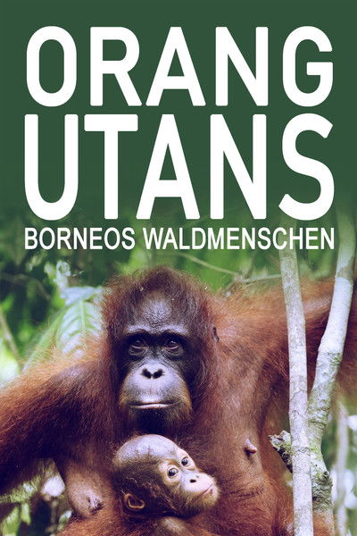 Poster do Filme Orang-Utans - Borneos Waldmenschen
