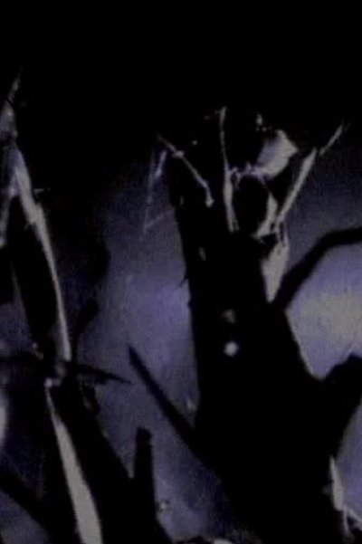Poster do Filme Prowler