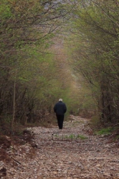 Poster do Filme Granje i korijenje