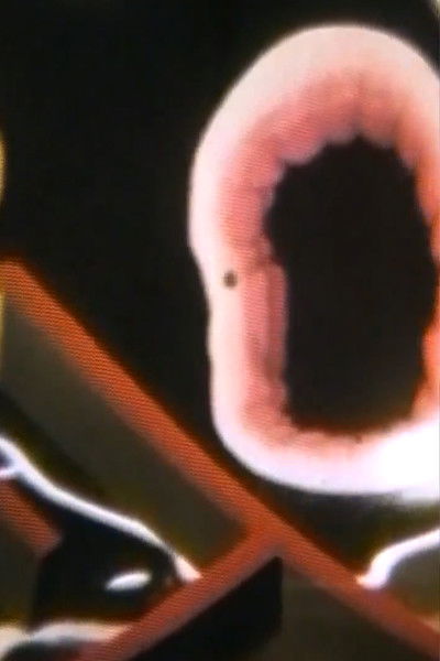 Poster do Filme Il giuoco dell'oca