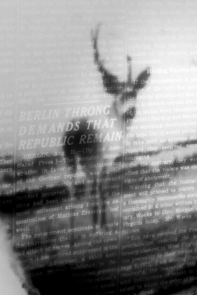 Poster do Filme The Celestial Stag of West Virginia