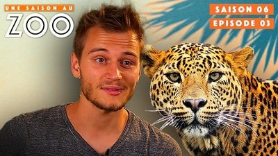 Episode 3