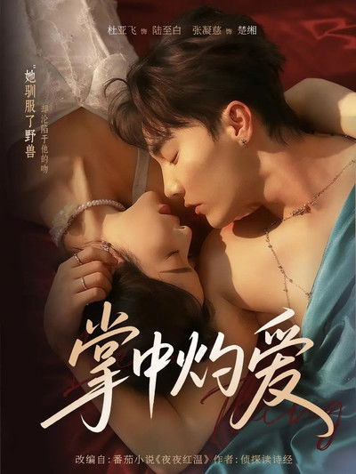 poster for 掌中灼爱