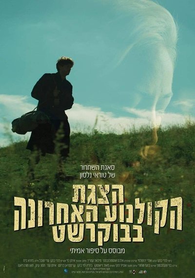 Poster do Filme Nelson