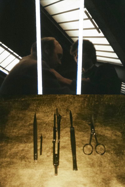 Poster do Filme The Count of Days