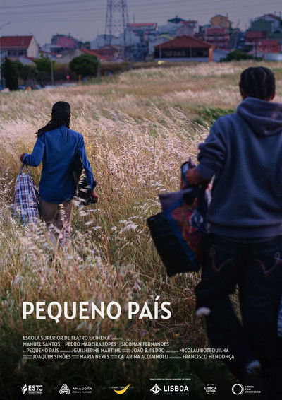 Poster do Filme Pequeno País