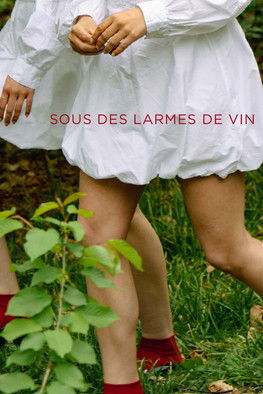 Poster do Filme SOUS DES LARMES DE VIN