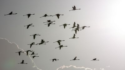 Chasing the African Rains