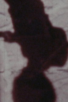 Poster do Filme Señales de vida