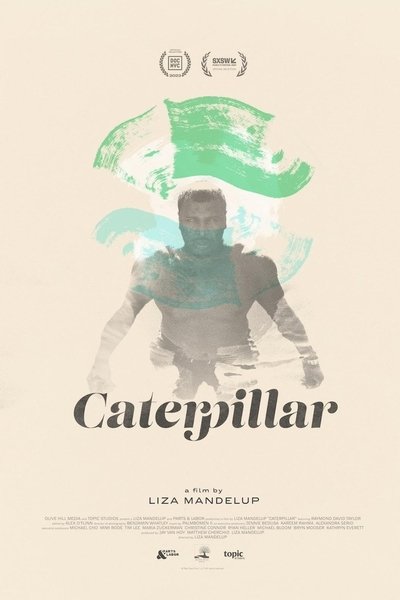 Poster do Filme Caterpillar