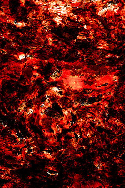 movie poster for Neither Buddha Nor God